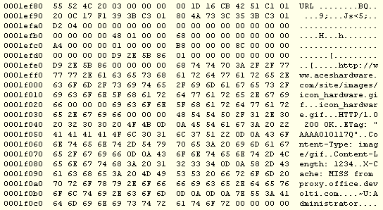 Binary (hex) dump of the index.dat URL record