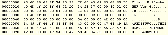 Binary (hex) dump of the index.dat file header